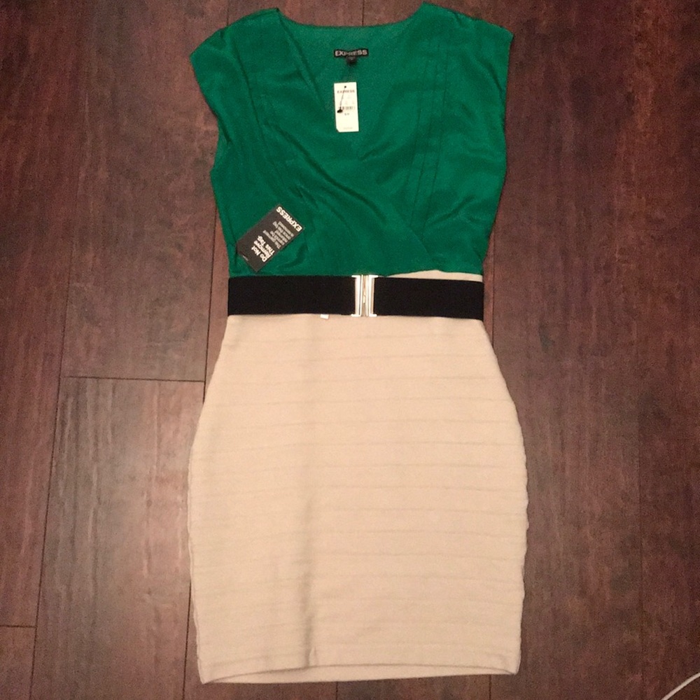 Brand New Bodycon Dress